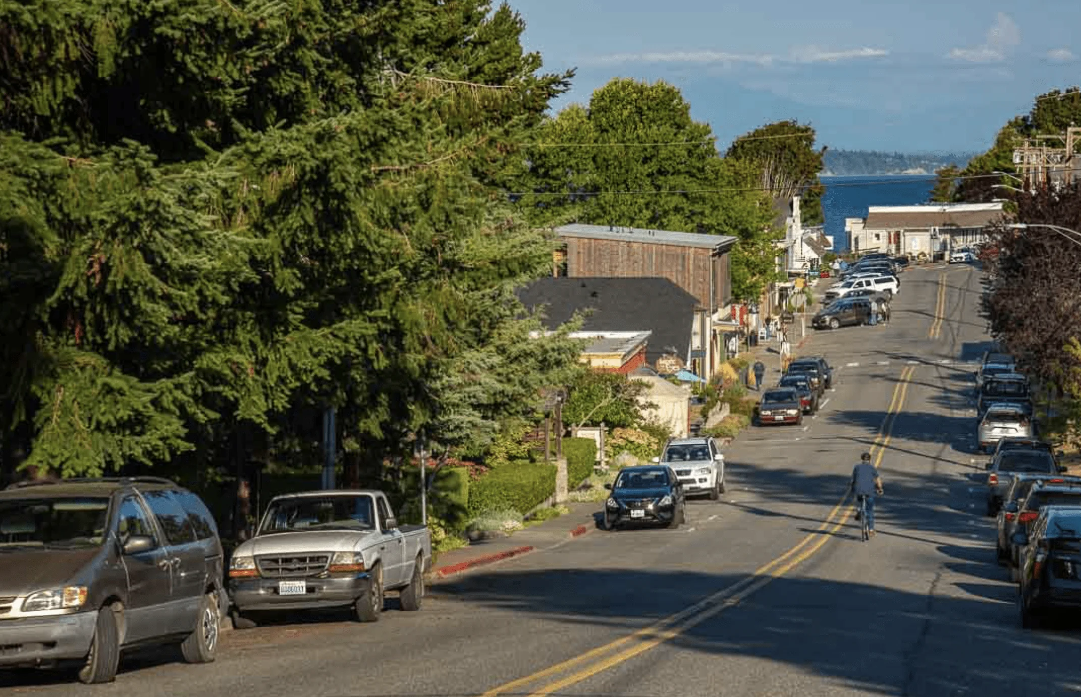 Scenic suburban street with trees and cars